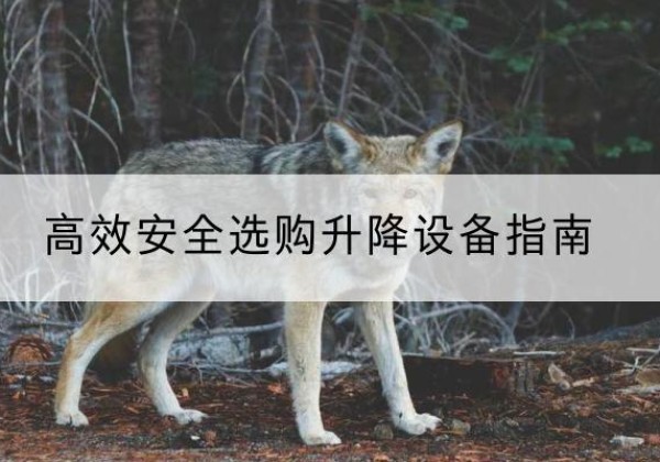 润州升降货梯厂家推荐-*安全选购升降设备指南