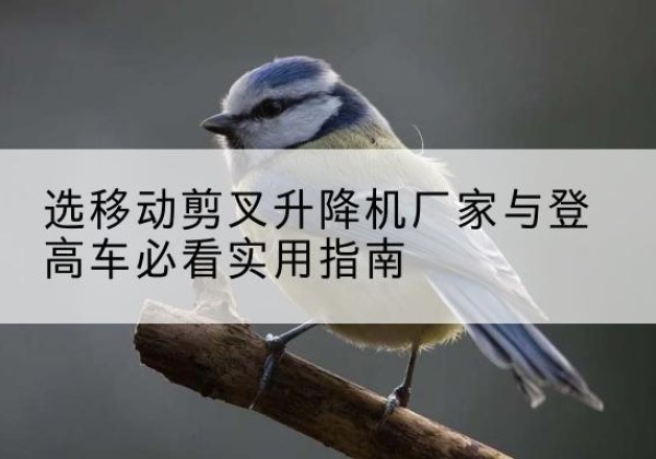润州电动升降机厂家-选移动剪叉升降机厂家与登高车必看实用指南