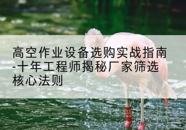 润州剪叉式升降机厂家-高空作业设备选购实战指南-十年工程师揭秘厂家筛选核心法则